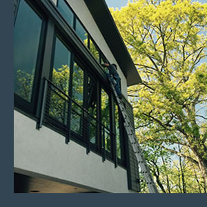 Hammer Window Washing