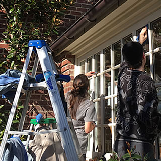 Seasoned Professional Crew