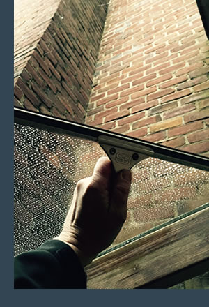 Hammer Window Washing